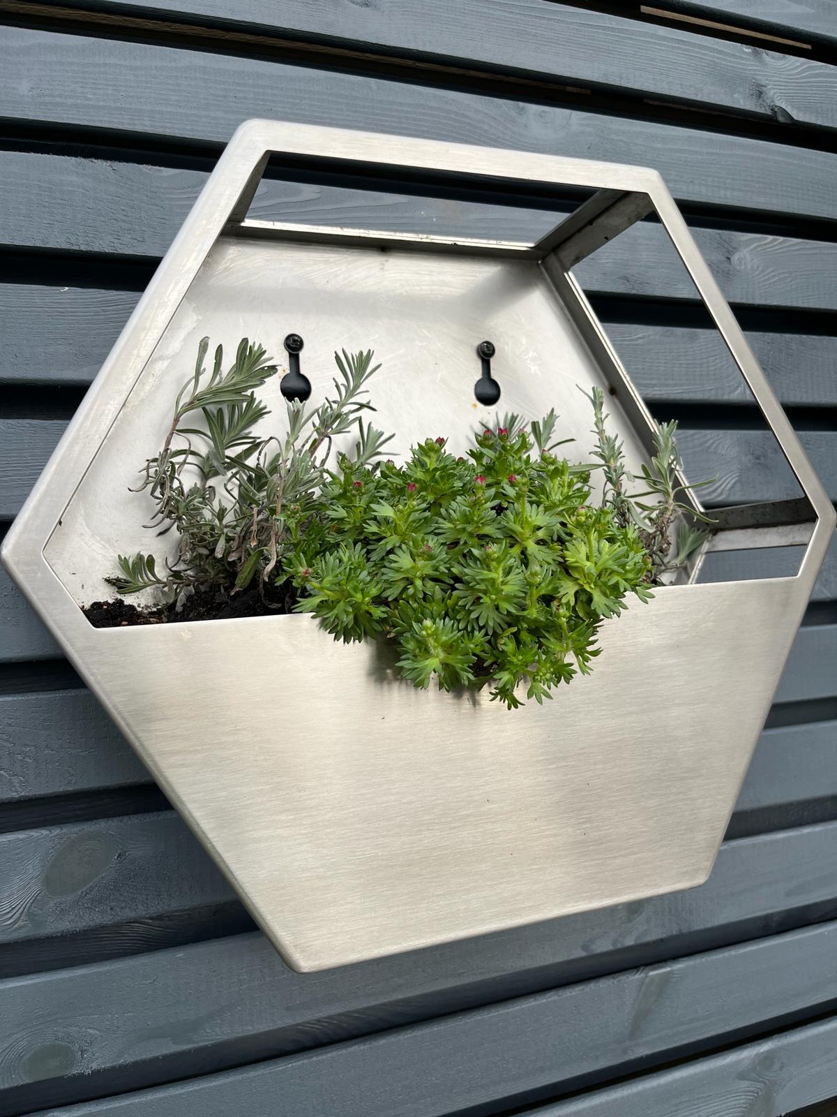 Brushed Stainless Steel Hexagon Wall Mounted Enclosed Planter 300mm