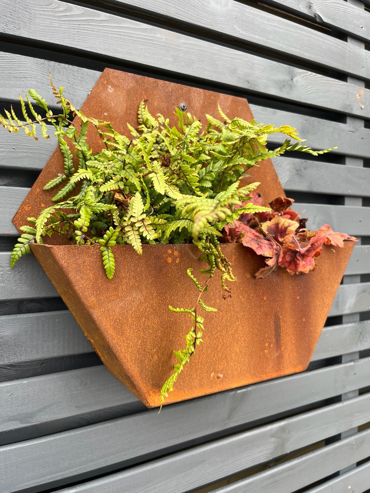 Corten Steel Hexagon Wall Mounted Planter 300mm