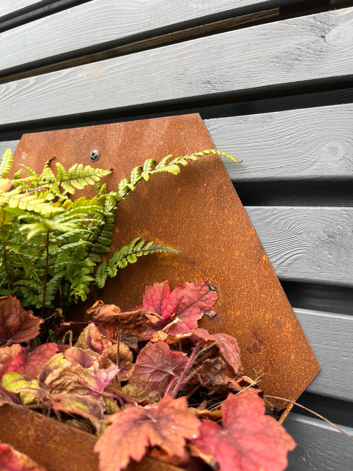 Corten Steel Hexagon Wall Mounted Planter 300mm