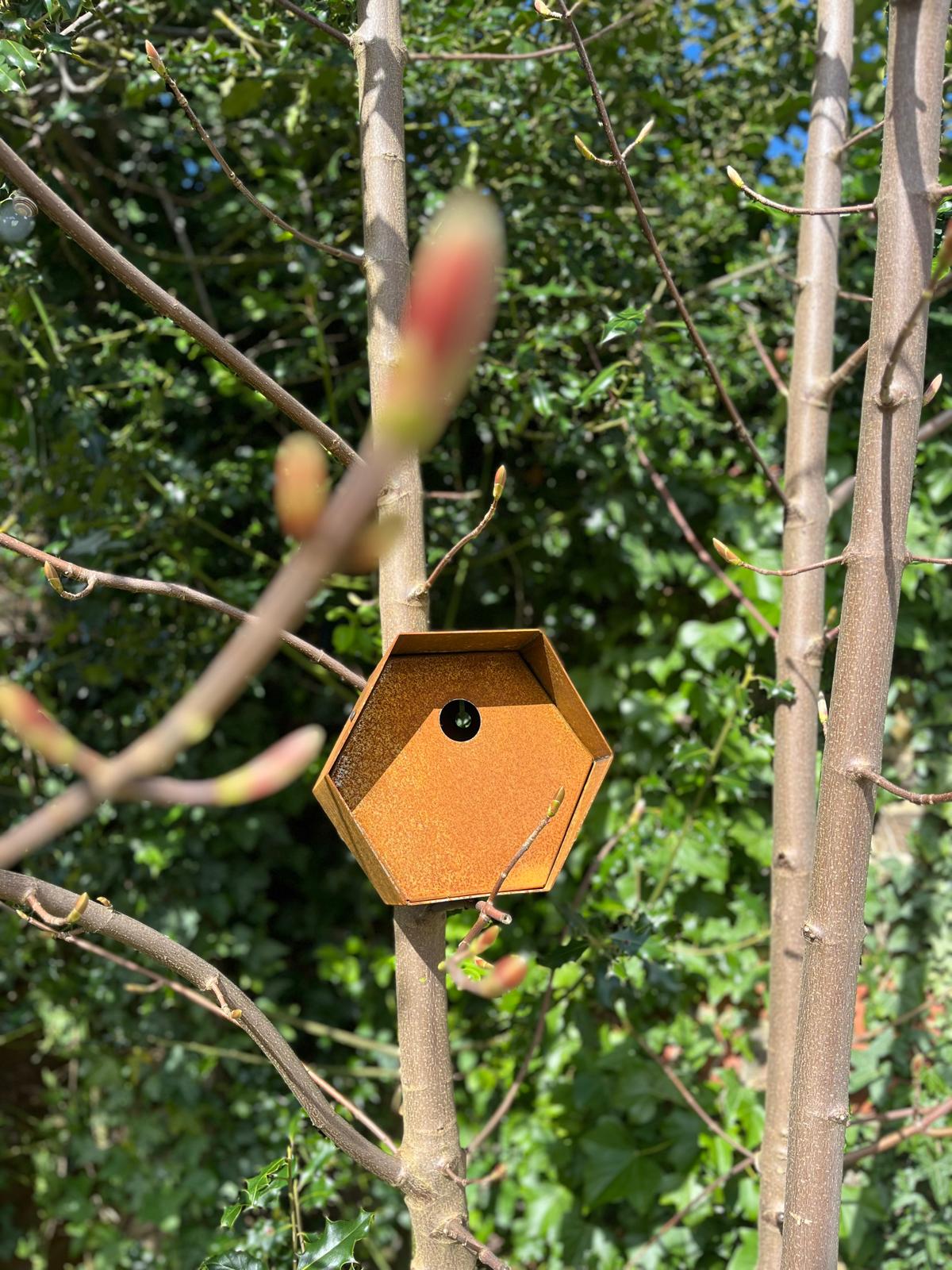 Corten Steel Hexagon Bird House Box Nesting Box 200mm