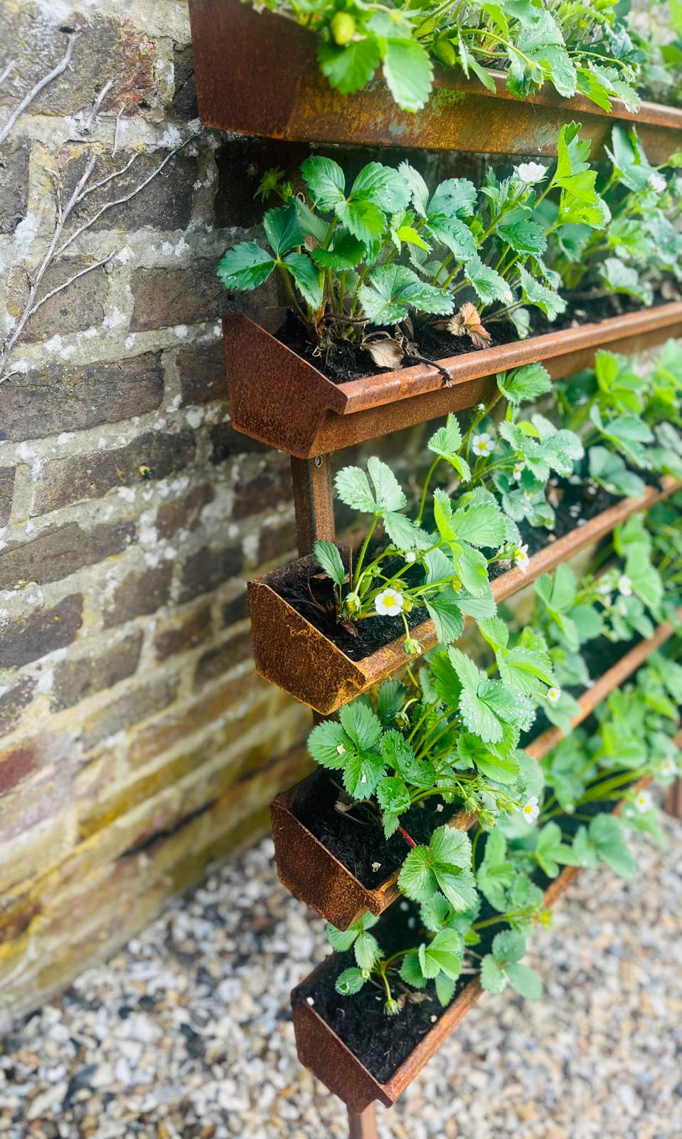 Corten Steel Strawberry Herb Plant Vertical Wall-Mounted Planter Urban Garden space saving rusty metal