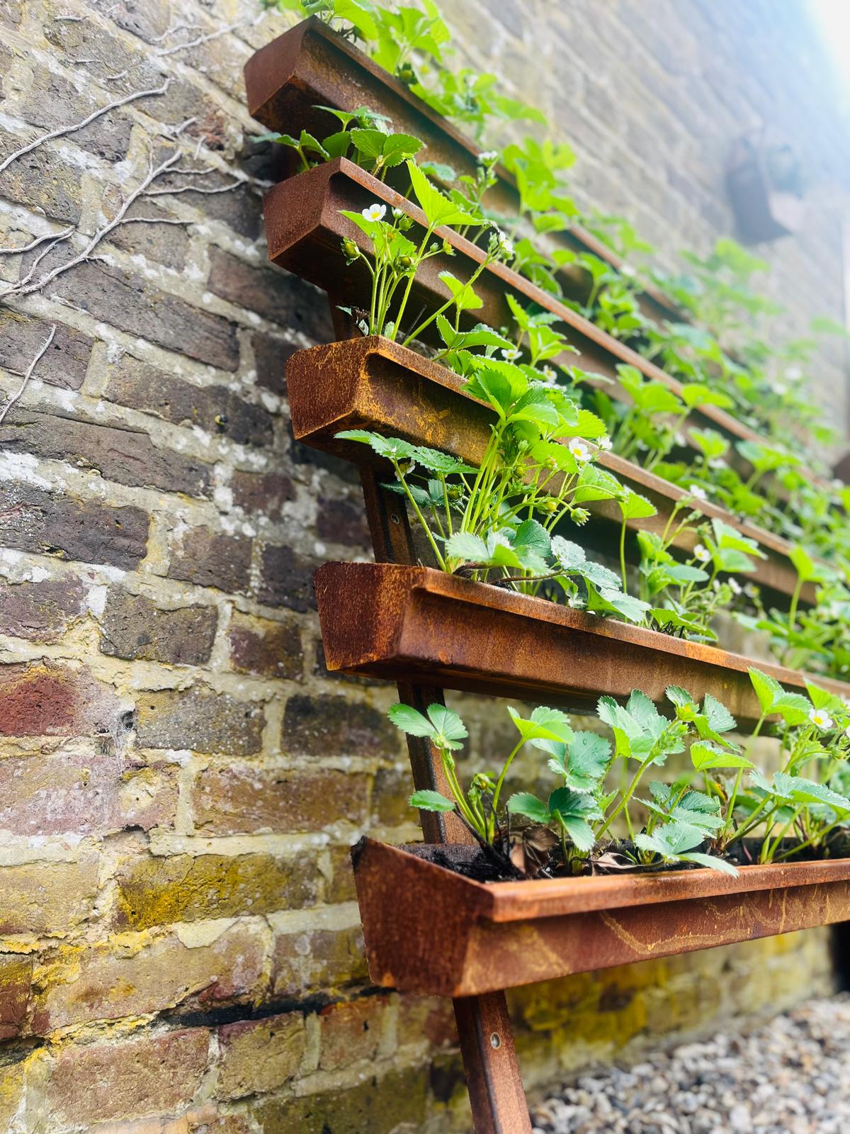 Corten Steel Strawberry Herb Plant Vertical Wall-Mounted Planter Urban Garden space saving rusty metal