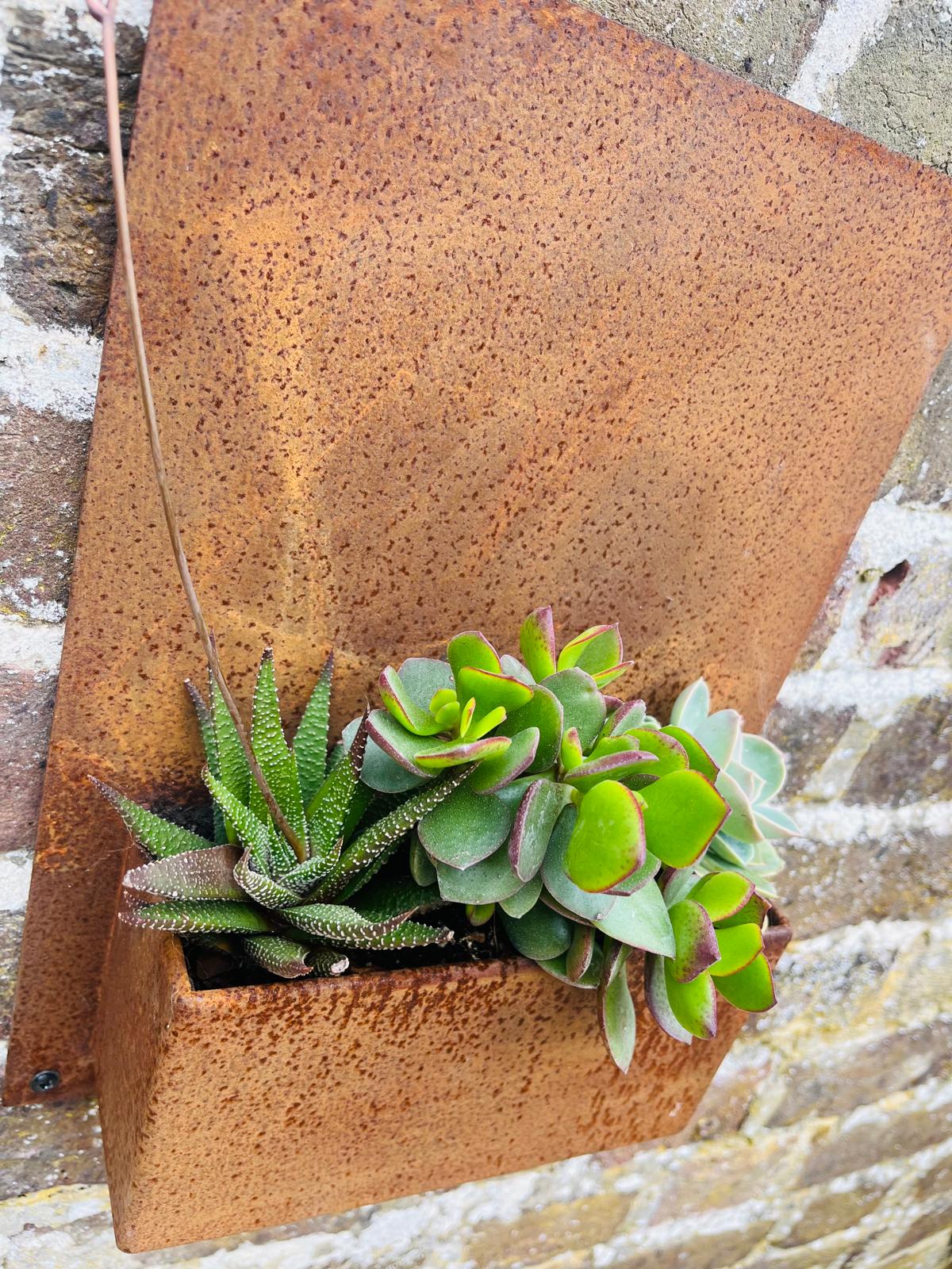 Corten Steel Wall Mounted Planter 600mm x 400mm