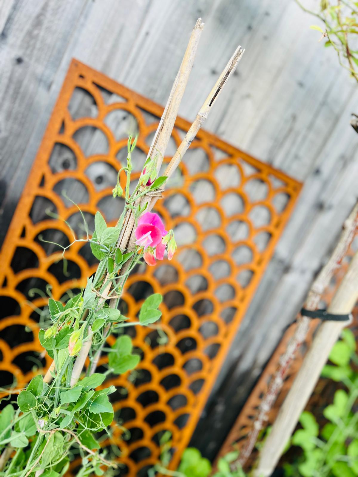 Corten Steel metal Wall Mounted Mermaid Scales Pattern Decorative Garden Panel Screen Wall Art 1200 - 2400mm