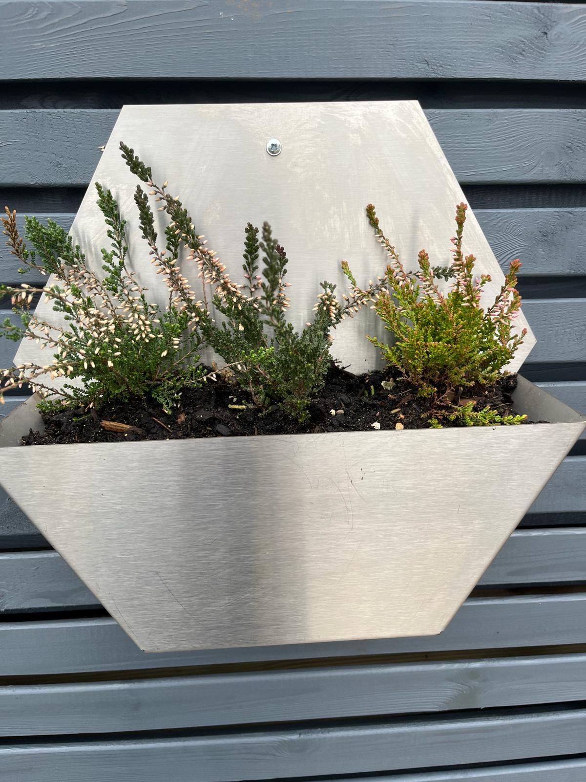 Brushed Stainless Steel Hexagon Wall Mounted Open Planter 300mm