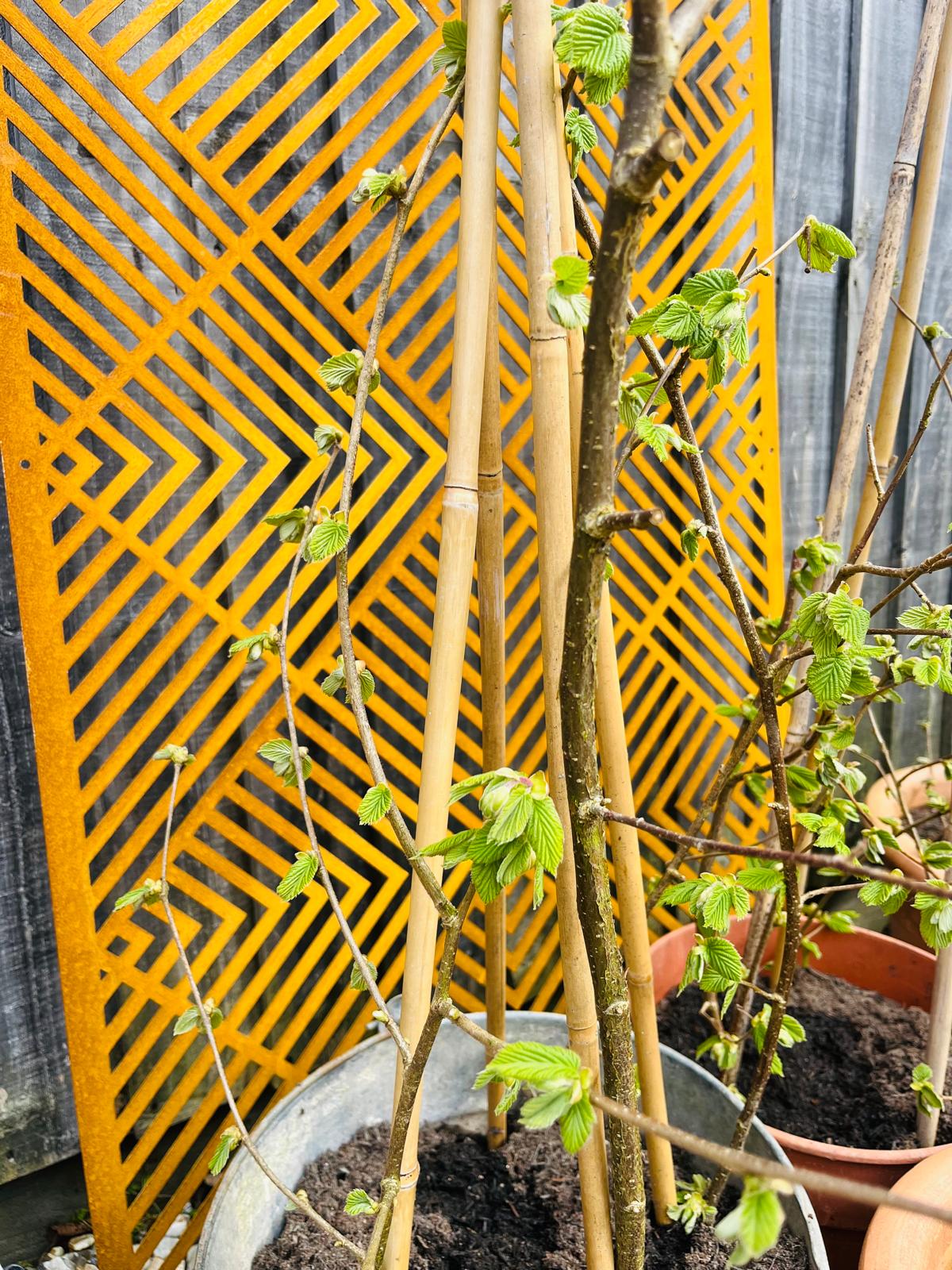 Corten Steel metal Wall Mounted Chevron Pattern Decorative Garden Panel Screen Wall Art 1200 - 2400mm