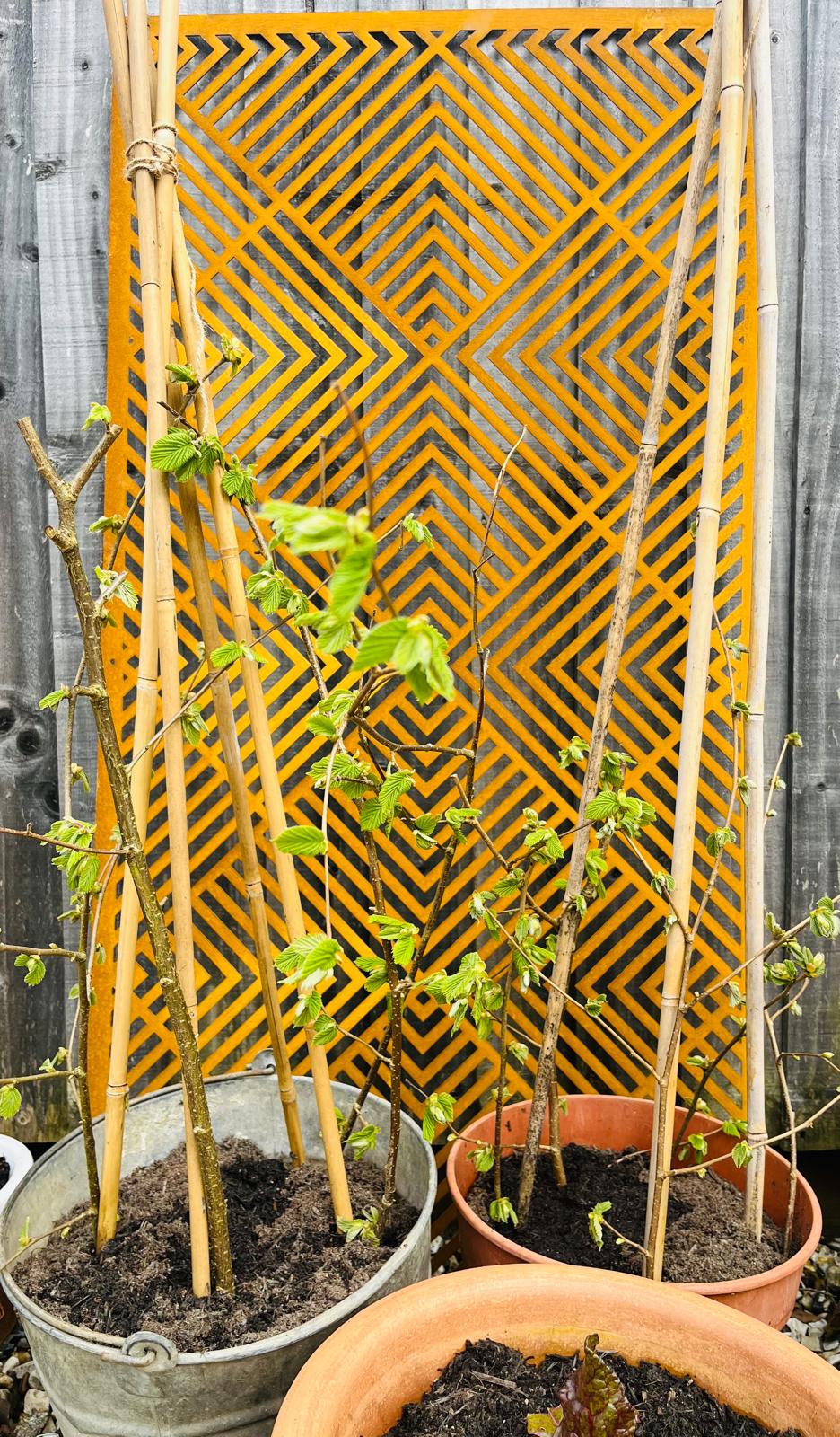 Corten Steel metal Wall Mounted Chevron Pattern Decorative Garden Panel Screen Wall Art 1200 - 2400mm