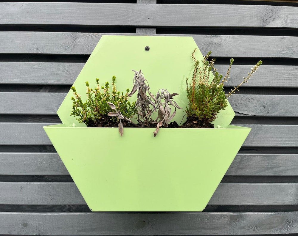 Painted Aluminium Hexagon Wall Mounted Open Planter 300mm
