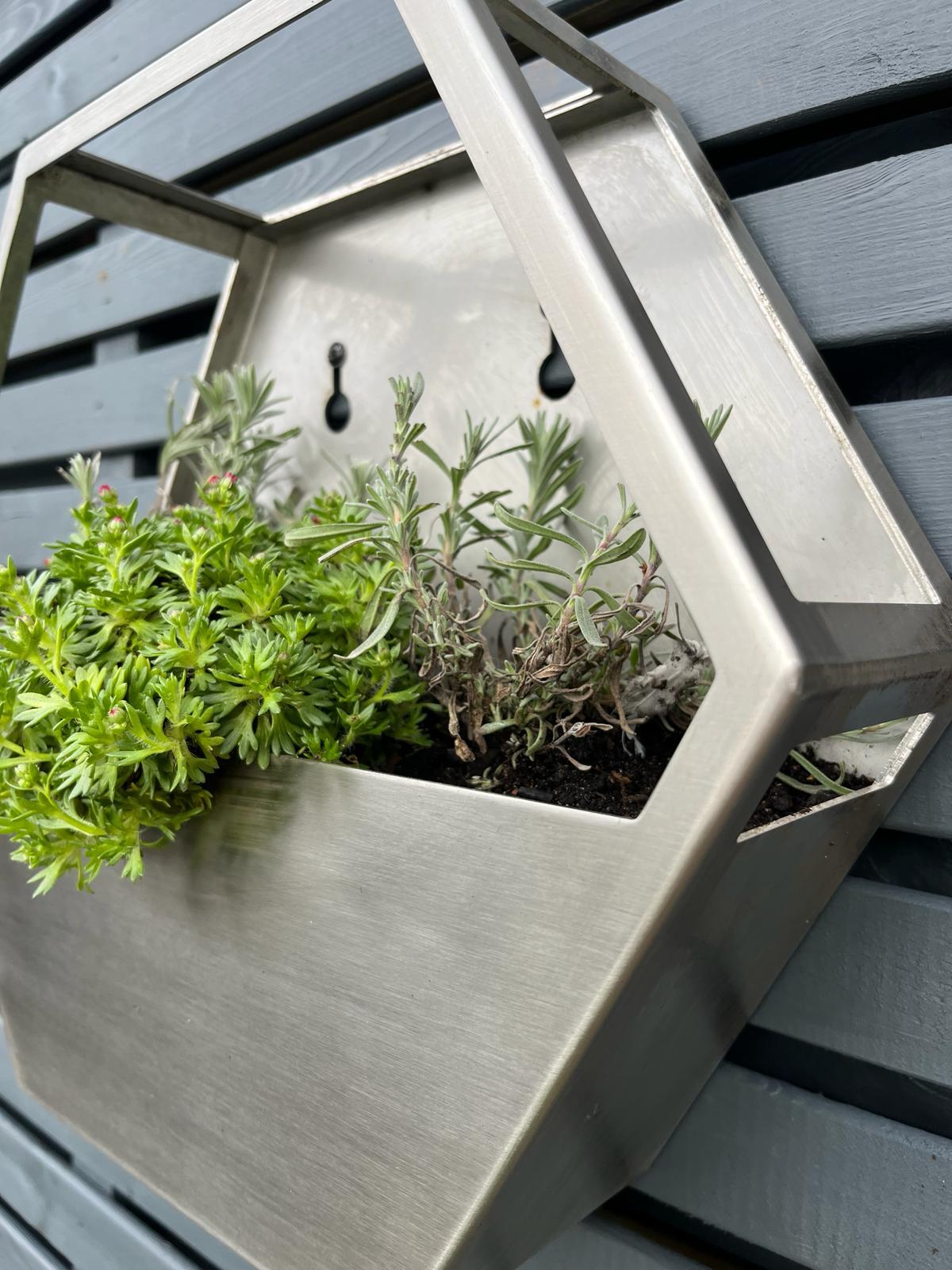 Brushed Stainless Steel Hexagon Wall Mounted Enclosed Planter 300mm