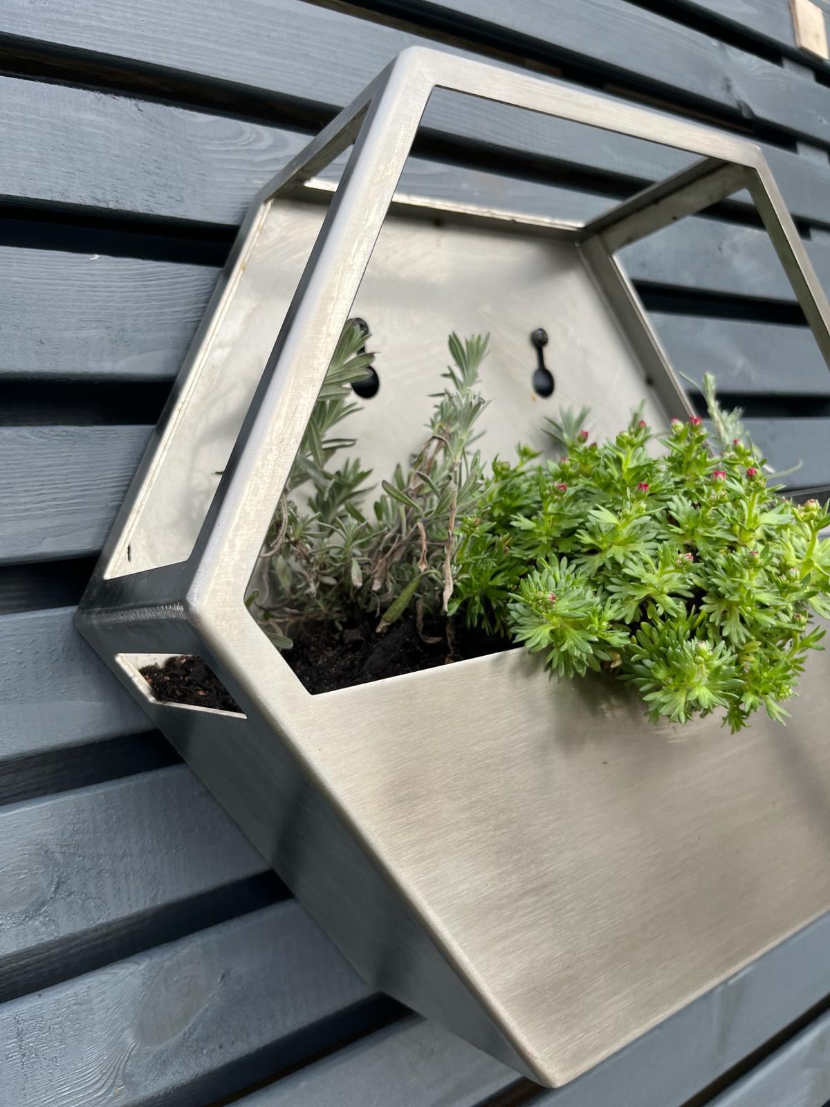 Brushed Stainless Steel Hexagon Wall Mounted Enclosed Planter 300mm