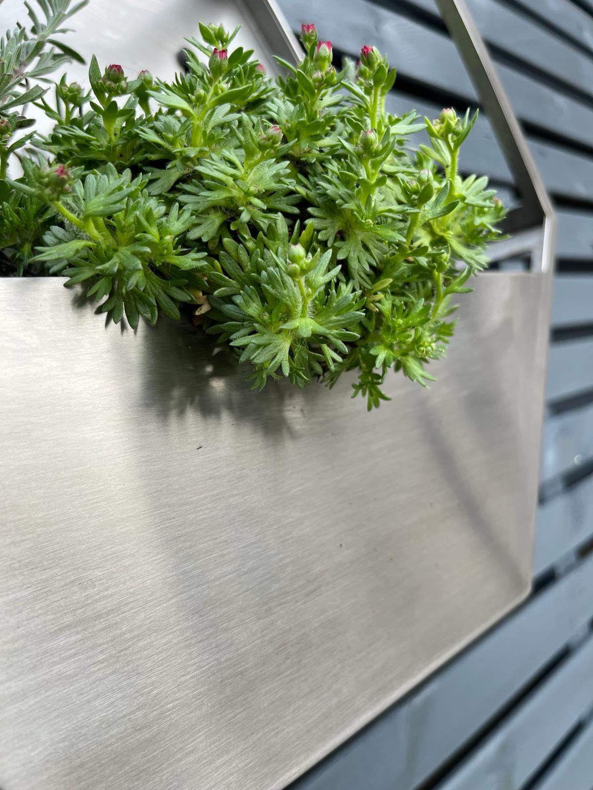 Brushed Stainless Steel Hexagon Wall Mounted Enclosed Planter 300mm