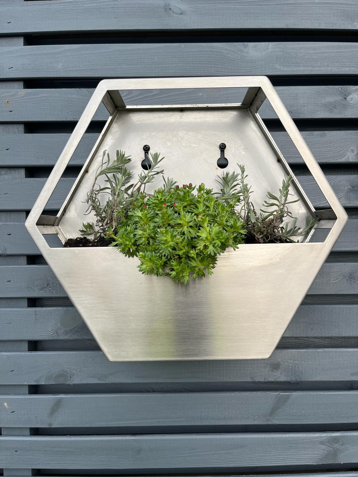 Brushed Stainless Steel Hexagon Wall Mounted Enclosed Planter 300mm