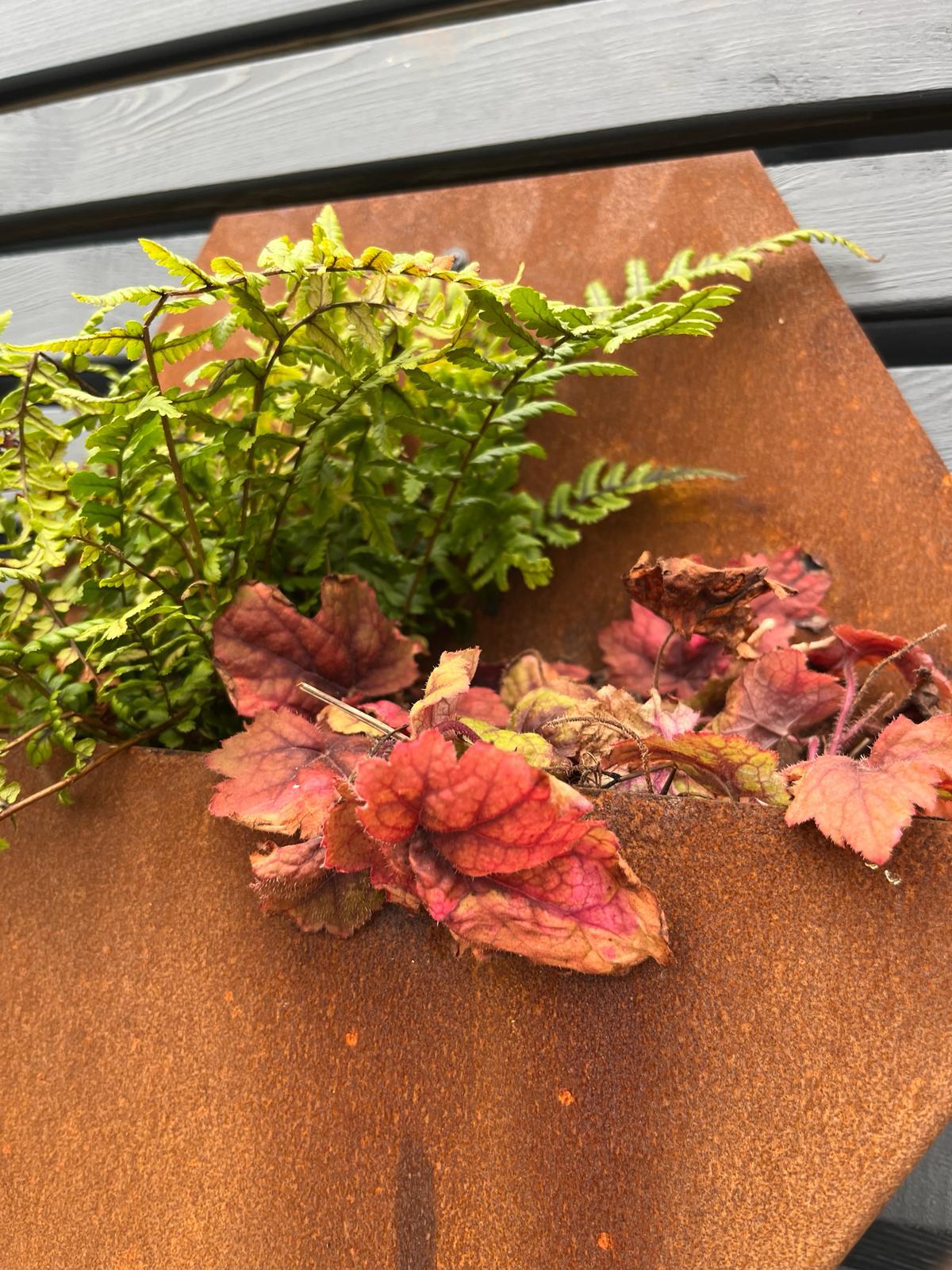 Corten Steel Hexagon Wall Mounted Planter 300mm
