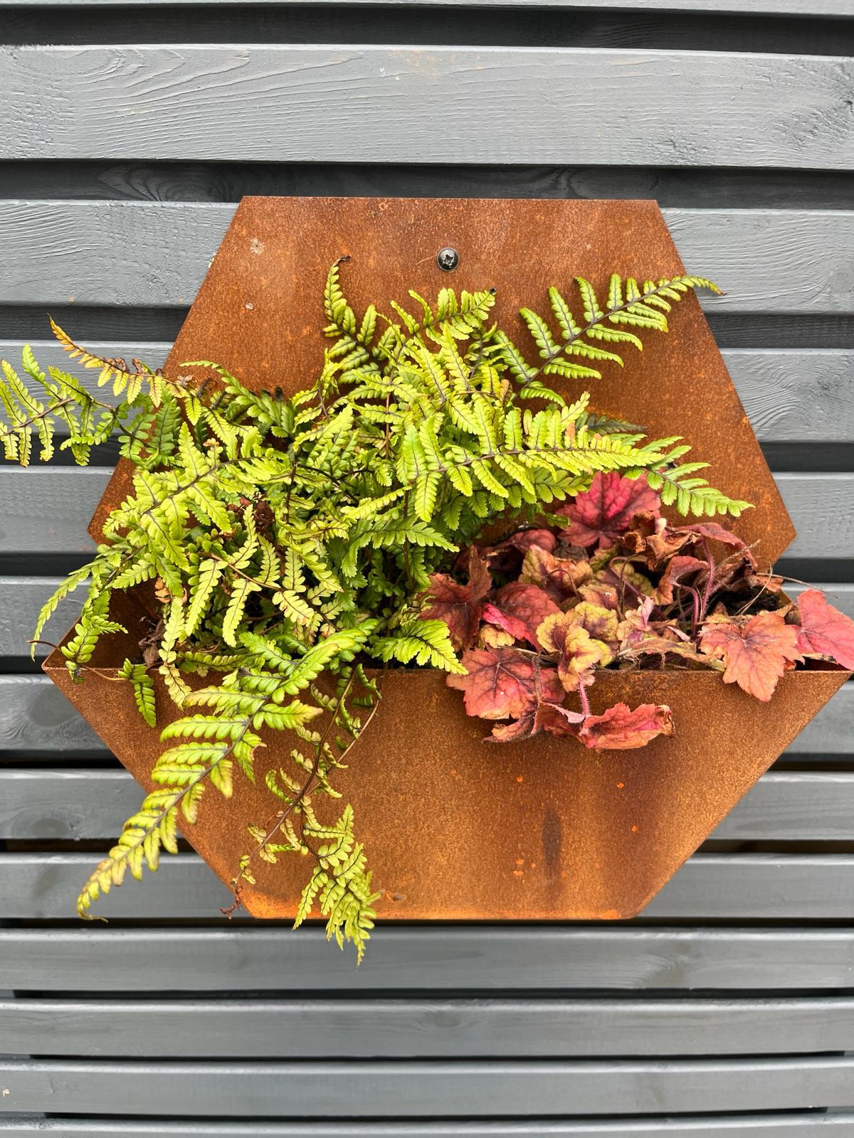 Corten Steel Hexagon Wall Mounted Planter 300mm