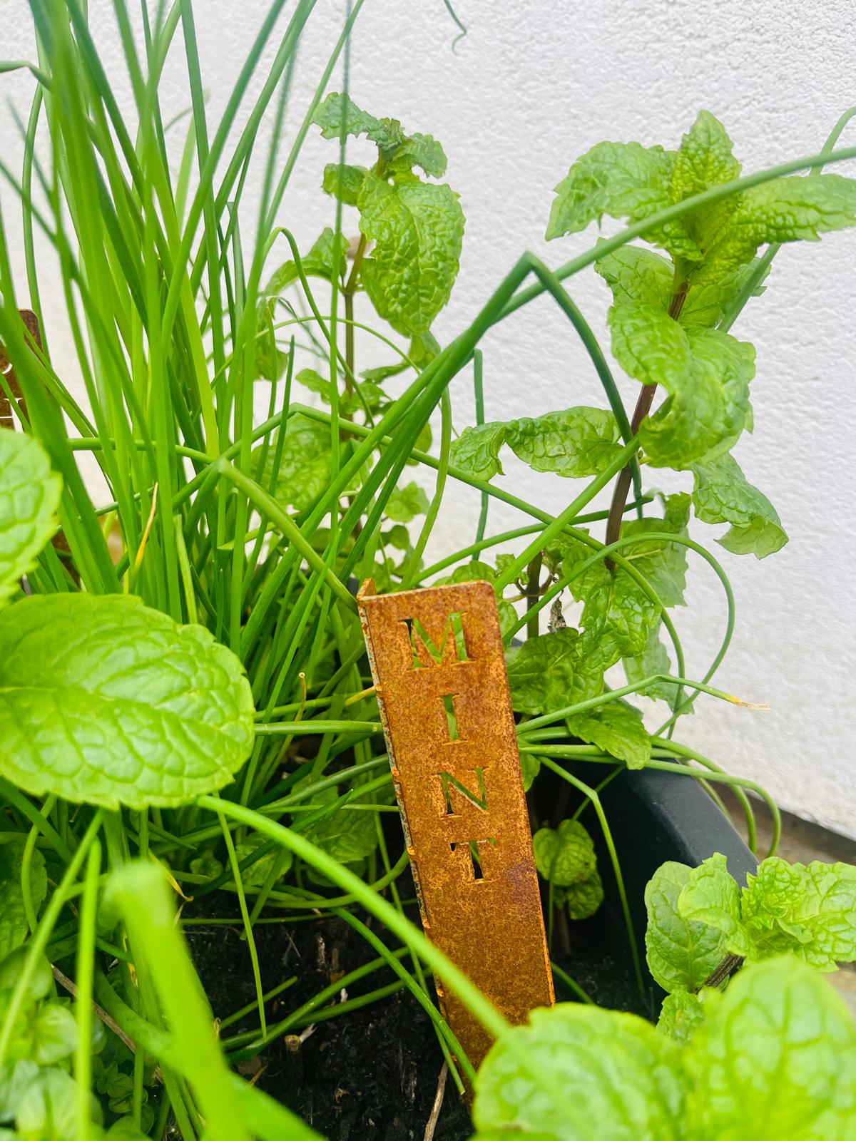 Corten Steel Herb Plant Name Marker stakes signs personalised