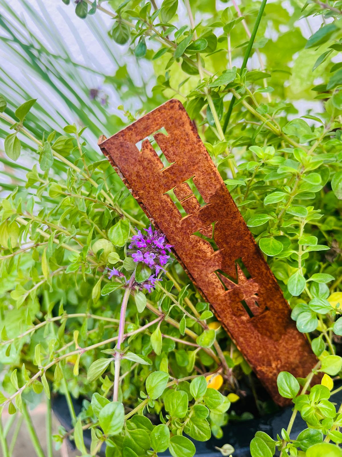 Corten Steel Herb Plant Name Marker stakes signs personalised