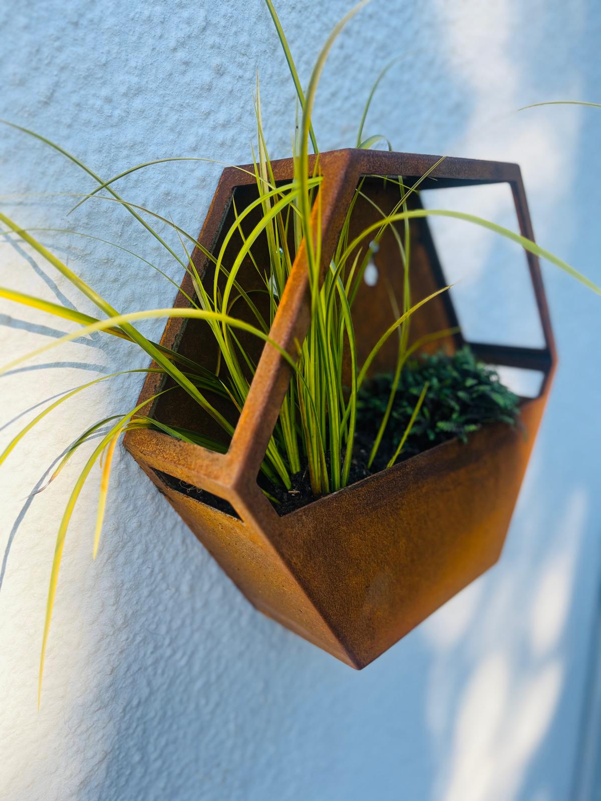 Corten Steel Hexagon Wall Mounted Enclosed Planter 300mm