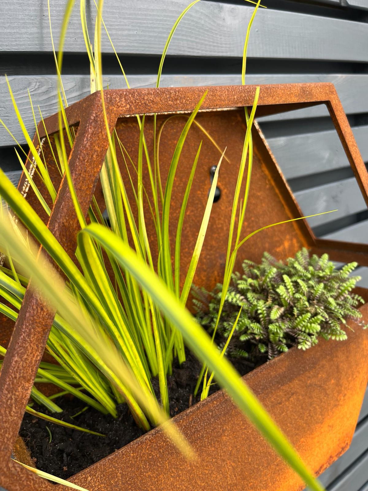 Corten Steel Hexagon Wall Mounted Enclosed Planter 300mm