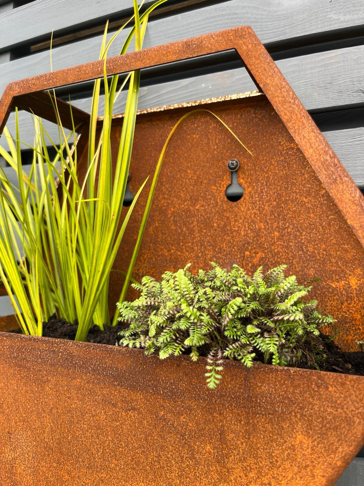 Corten Steel Hexagon Wall Mounted Enclosed Planter 300mm