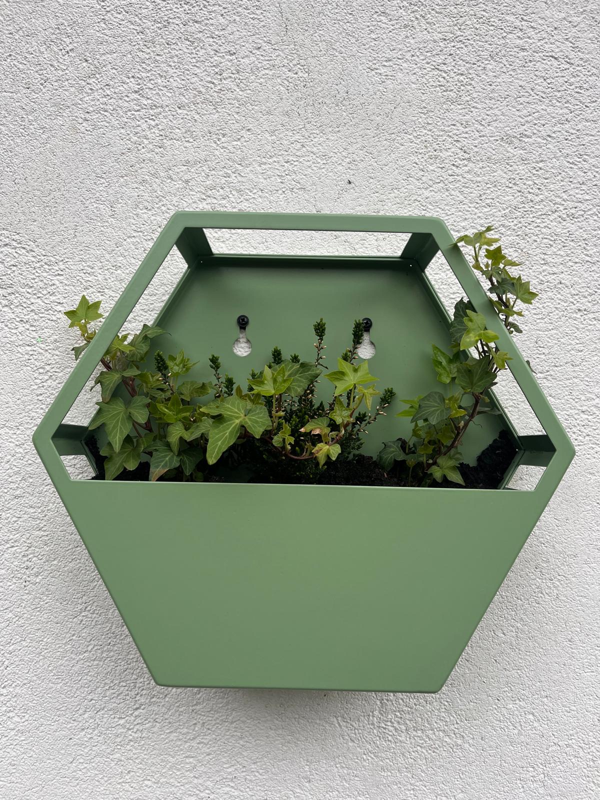 Painted Aluminium Hexagon Wall Mounted Enclosed Planter 300mm