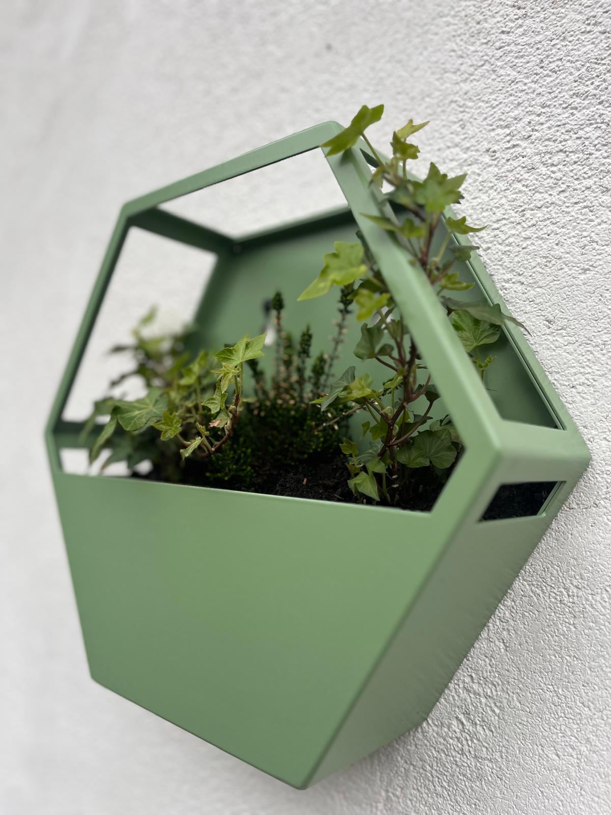 Painted Aluminium Hexagon Wall Mounted Enclosed Planter 300mm
