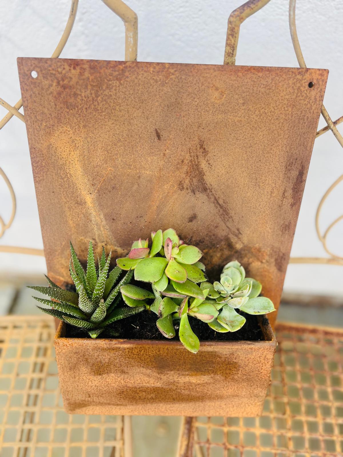 Corten Steel Wall Mounted Planter 600mm x 400mm