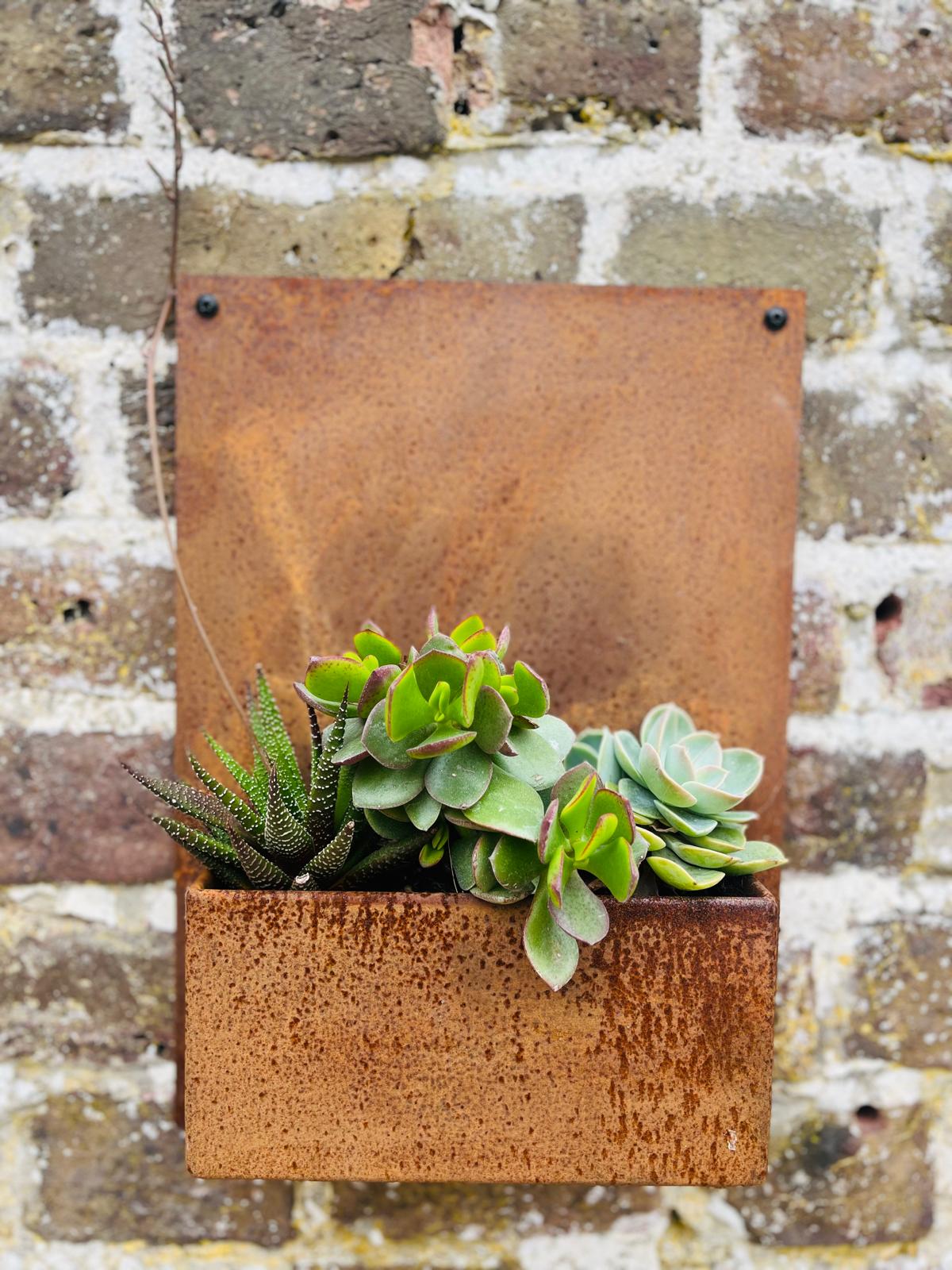 Corten Steel Wall Mounted Planter 600mm x 400mm