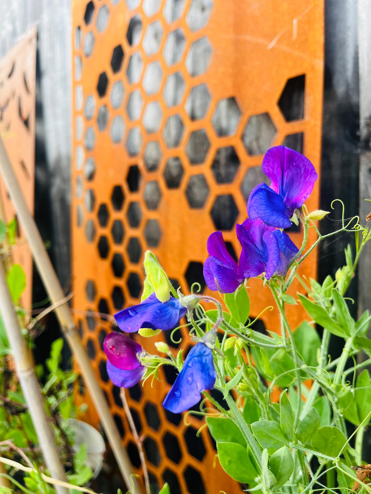 Corten Steel metal Wall Mounted Mini Hexagon Honeycomb Pattern Decorative Garden Panel Screen Wall Art 1200 - 2400mm